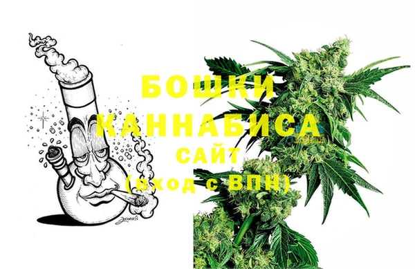 ПСИЛОЦИБИНОВЫЕ ГРИБЫ Краснослободск