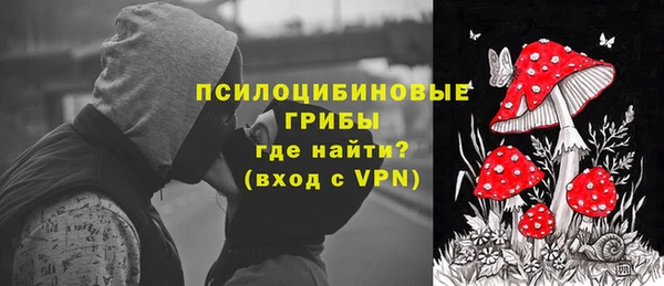 прущие грибы Костерёво