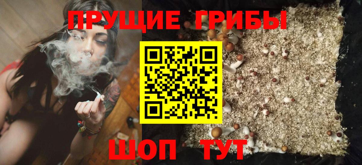 Галлюциногенные грибы мухоморы Искитим