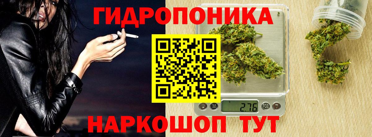 Искитим  Конопля семена  Конопля сатива  Вход с VPN  Каннабис индика 